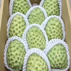 【※產地直送★，恕不接受貨到付款】台東鳳梨釋迦10斤/約7-9粒(免運)