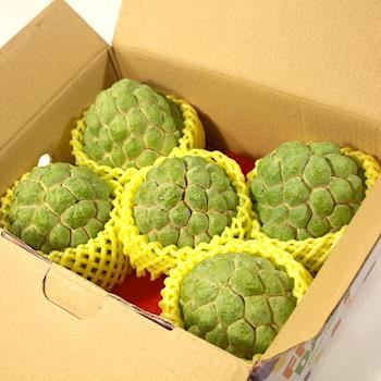 【產地直送，恕無法提供貨到付款】連-大目釋迦5斤(約5-6粒)