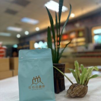 佐佑品水洗咖啡豆(半磅)