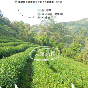 【農遊體驗行程】大友茶園 -挑出好茶 