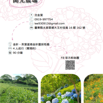 【農遊體驗行程】開元農場-金針、茶葉蛋捲金針園採筍趣 