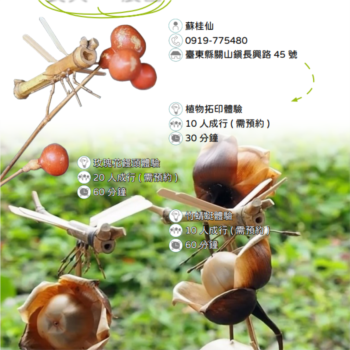 【農遊體驗行程】長興 45 農園-植物拓印、玫瑰花饅頭、竹蜻蜓體驗