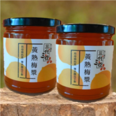 三代三花黃熟梅漿280g