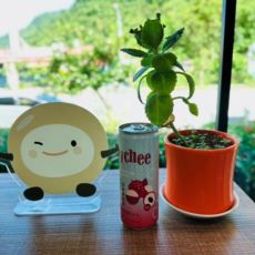 荔枝氣泡飲240ml