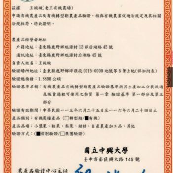 老王-有機檸檬茶片 20g