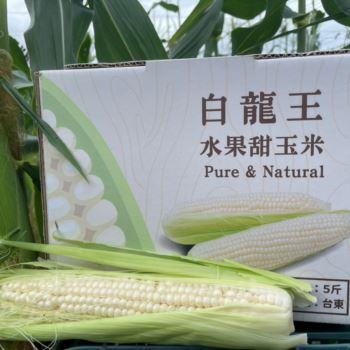 12/17~21陸續出貨★台東白龍王水果甜玉米 10斤/箱【產地直送，恕無法貨到付款】