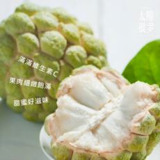產銷履歷大目釋迦5斤(約5-6粒)