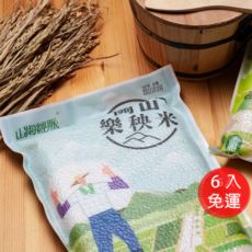 關山-樂秧米2kg/6入