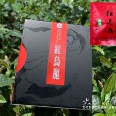 大峰-紅烏龍茶包12入