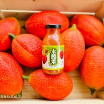 木虌果果汁 24瓶/箱 免運組